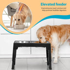 Top 10 Elevated Dog Bowl Stands with Stainless Steel Dishes