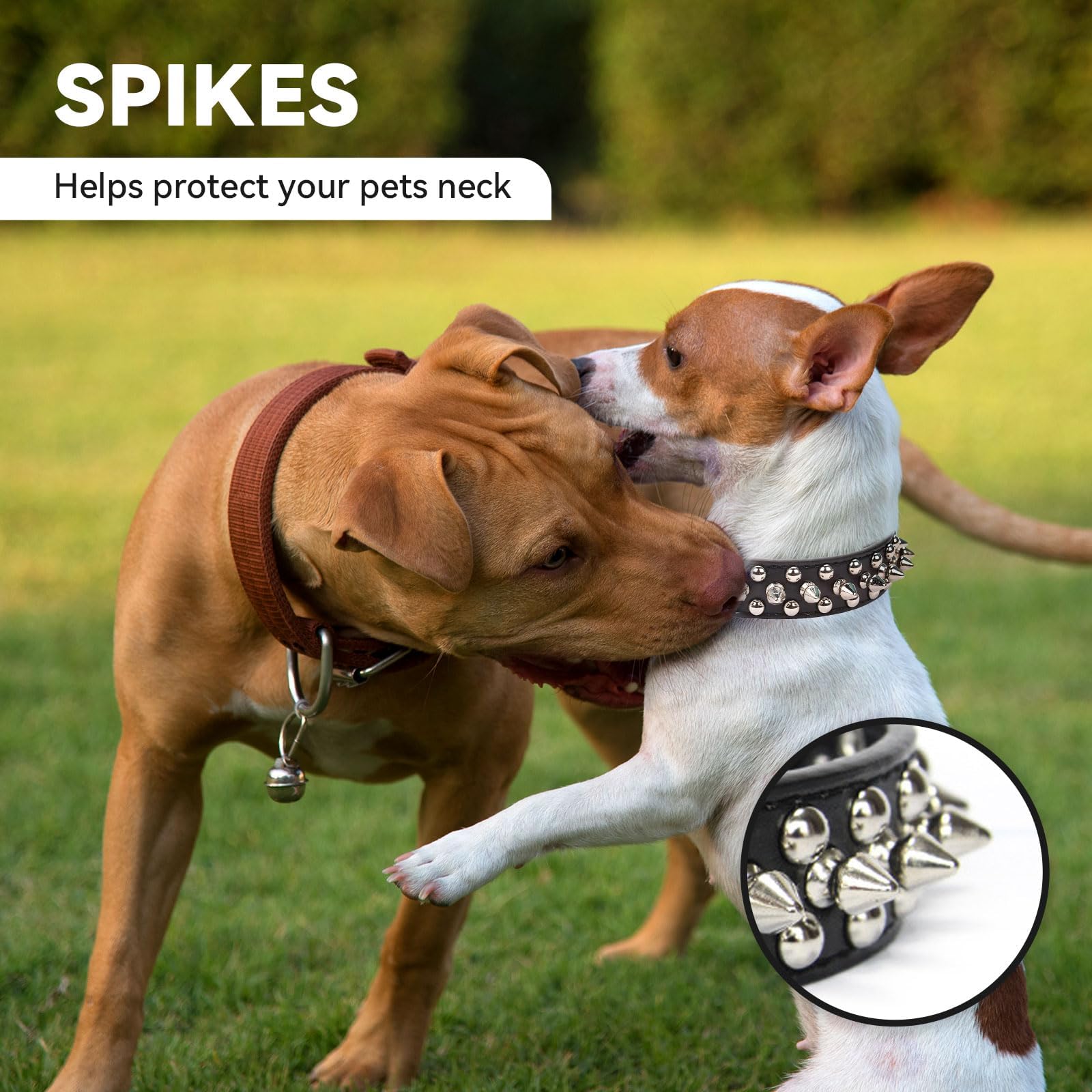 Small Spiked Black Dog Cat Collar For Small Medium Dogs Boy Male - Adjustable Studded Puppy Collars - Soft Padded Punk Leather Dog Collar For Chihuahua French Bulldog Pug