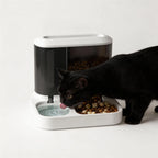 Automatic Pet Feeder Water Bowls Food Intelligent Electric Pet Food Dish Smart Timer Dog Bowl All-in-One Feeding Station
