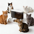 Automatic Pet Feeder Water Bowls Food Intelligent Electric Pet Food Dish Smart Timer Dog Bowl All-in-One Feeding Station
