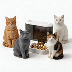 Automatic Pet Feeder Water Bowls Food Intelligent Electric Pet Food Dish Smart Timer Dog Bowl All-in-One Feeding Station