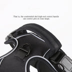 Reflective No-Pull Dog Harness Vest — Single & Set Options