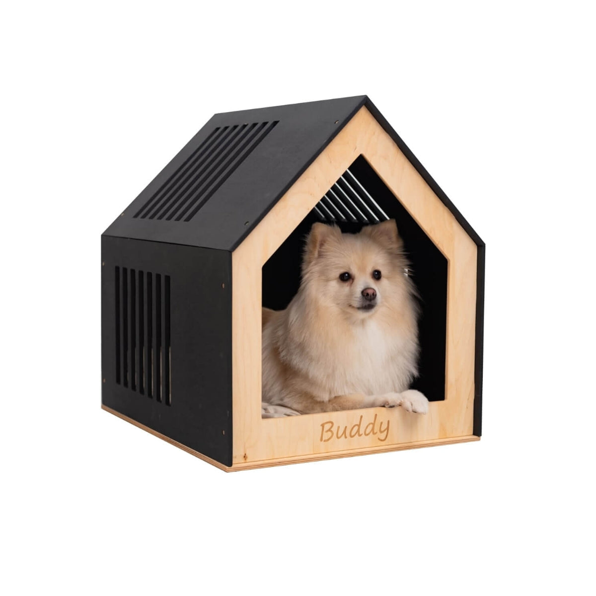 Modern Indoor Dog House