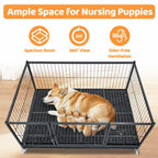 43" Upgraded Puppy Whelping Box WHLP02