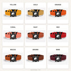Rugged Waterproof AirTag Dog Collar with Holder