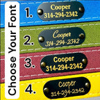 Rugged Waterproof AirTag Dog Collar with Holder
