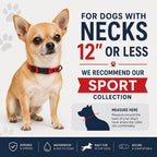 Rugged Waterproof AirTag Dog Collar with Holder